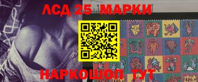молекула духа Камень-на-Оби