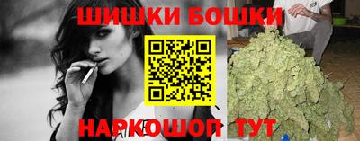 молекула духа Камень-на-Оби