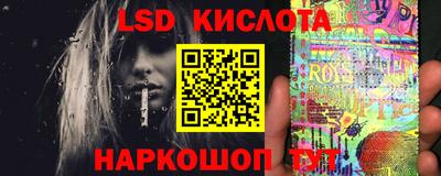 молекула духа Камень-на-Оби