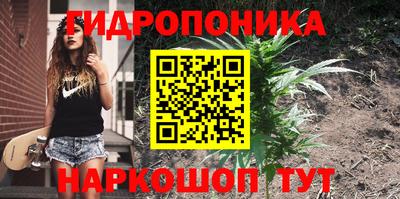 молекула духа Камень-на-Оби
