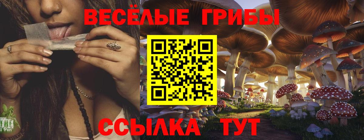 Галлюциногенные грибы мухоморы  Вход с VPN  Сызрань 